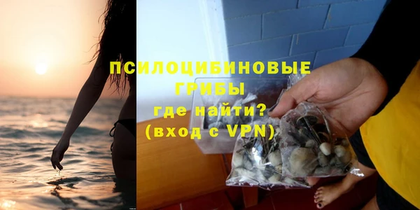 молекула духа Нязепетровск