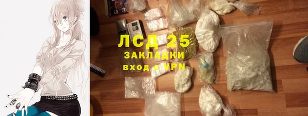 PSILOCYBIN Осташков