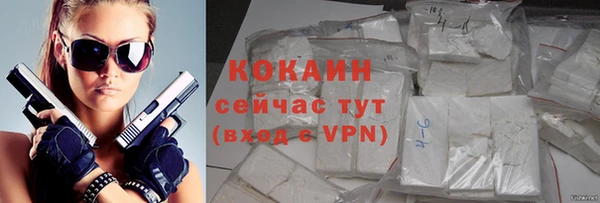 мет Няндома