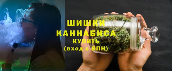 мдпв Осинники