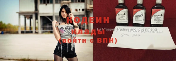 мдпв Осинники