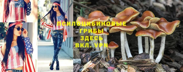мет Няндома