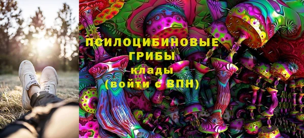 сатива Нягань