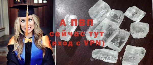 сатива Нягань